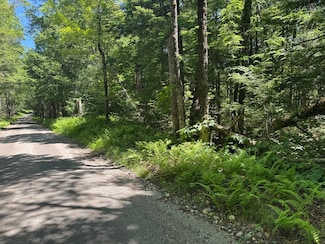 0 Old Stage Rd Unit 73326639, Ashfield, MA 01330