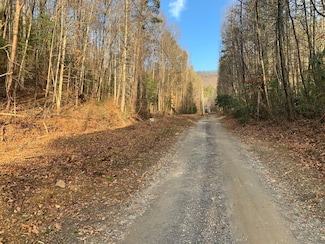 3.66 Horton Rd, Murphy, NC 28906