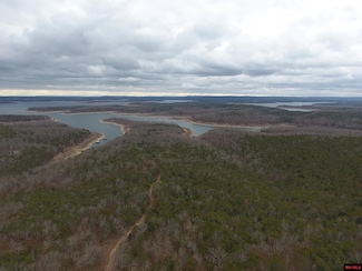 178 Round Robin Ln, Theodosia, AR 72687