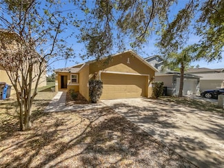 5211 Mango Fruit St, Seffner, FL 33584