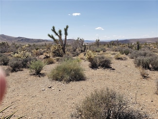 2 ACRES La Crescenta Dr, White Hills, AZ 86445