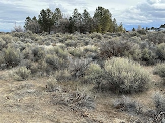 0 Elm Ln Unit TL-5500 220176617, Christmas Valley, OR 97641
