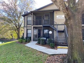 14727 Norwood Oaks Dr Unit 104, Tampa, FL 33613