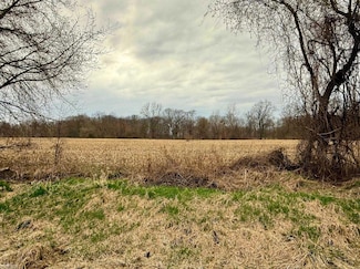 V/L B-2 Cork Rd, Morrice, MI 48857