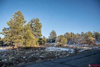 TBD N Badger Trail, Ridgway, CO 81432