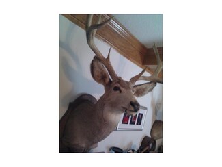1660 NE Woodson Rd, Garnett, KS 66032