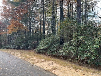 lot 71 Big Pine Rd, Sapphire, NC 28774