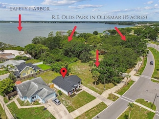 102 Shore Dr E, Oldsmar, FL 34677