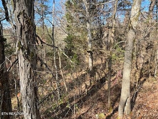 0 Happy Hollow Ln Unit 1273078, Sevierville, TN 37876