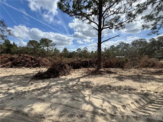 4166 W Roadrunner Ct, Homosassa, FL 34446