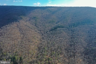 0 Church Mountain Ln, Fulks Run, VA 22830