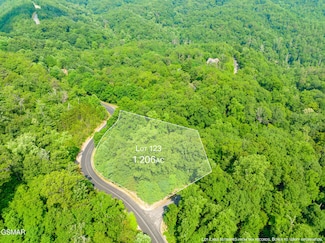 Lot 123 Long Rifle Rd, Sevierville, TN 37862