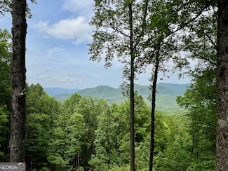 M163 Walnut Ridge, Ellijay, GA 30336