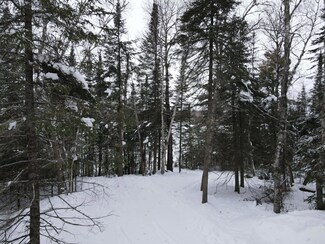 TBD S Pickerel Rd, Effie, MN 56639