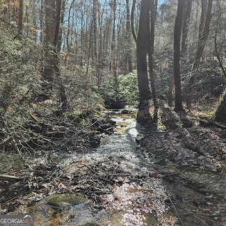 3409 Flagpole Rd, Ellijay, GA 30540