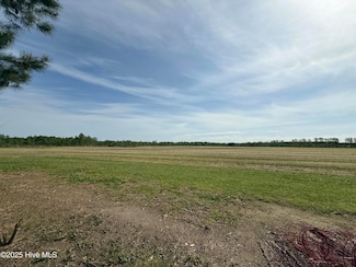 81 Pond View Ct, Rocky Mount, NC 27801