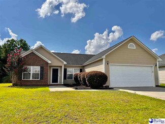 3056 Red Berry Cir, Effingham, SC 29541