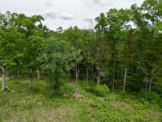 152 Shinnecock Hills Dr, Branson, MO 65616