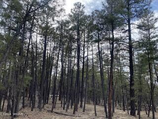 2380 S Pinegrass Rd Unit Lot 28, Show Low, AZ 85901