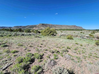 Lot 10 Conejos River Trail, Antonito, CO 81120