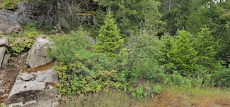 279X Deep Lake Boundary Rd, Northport, WA 99114
