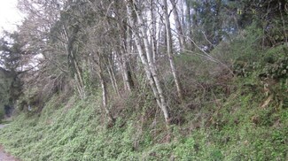 0 Olequa Dr, Vader, WA 98593