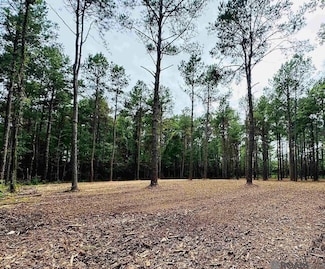 RS-6 Louisiana 16, Denham Springs, LA 70706