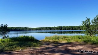 TBD Wildwood Lake Rd Unit Lot X, Iron River, MI 49935