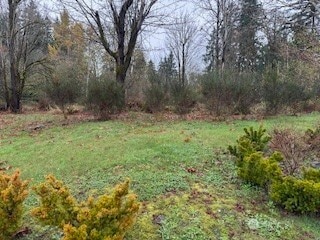 0 208th Place NE, Union Hill-Novelty Hill, WA 98077