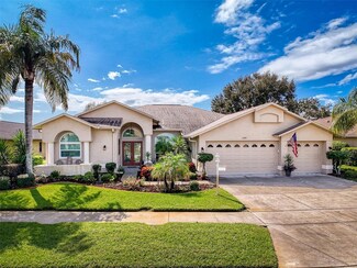 1149 Alanbrooke St, Trinity, FL 34655