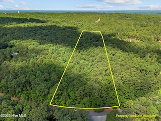 550 E Hedgelawn Way, Southern Pines, NC 28387
