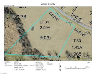 Lot 31 Antler Dr, McGrady, NC 28649