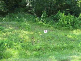 Lot #4 Short White Oak Rd, Flatwoods, KY 41139