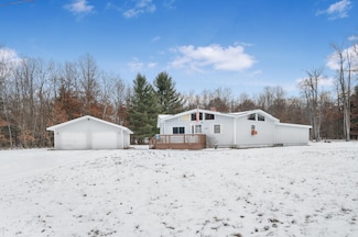 4207 Blue Vista Dr, Evart, MI 49631