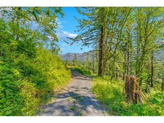 0 Warren Rd Unit 3 24286428, North Bonneville, WA 98639