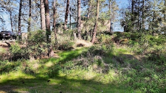 13901 S Clear Lake Way Unit SPC 719, Cheney, WA 99004