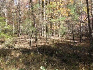 0 Mountain Top Dr Unit 578718, Mathias, WV 26812