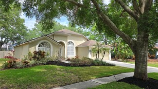15209 Arbor Hollow Dr, Odessa, FL 33556