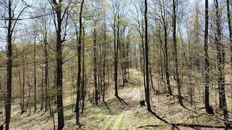 00 Mystery Mountain Ln, Coudersport, PA 16915