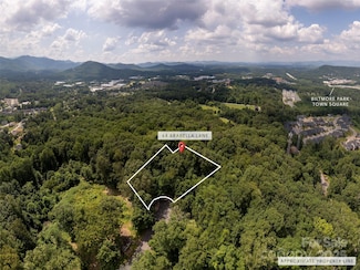 64 Arabella Ln, Avery Creek, NC 28704