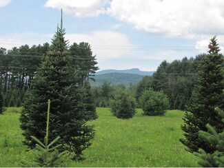 1 Lawrence Farm Rd, Morristown, VT 05661