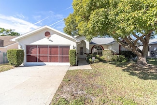 11007 Basquin Ct, Port Richey, FL 34668