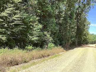 000 Hempstead 24 Rd, Blevins, AR 71825