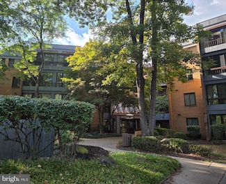 6350 Red Cedar Place Unit 309, Baltimore, MD 21209