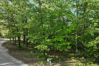 Lot 8 Buckskin Ridge, Highlandville, MO 65669