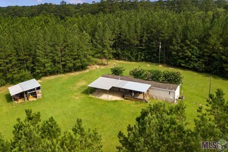6811 Upper C C Rd, Clinton, LA 70722