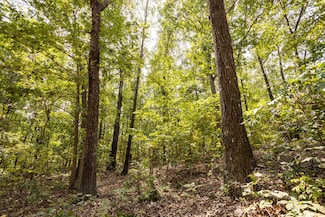 000 County Road 9065a, Powell, MO 65730