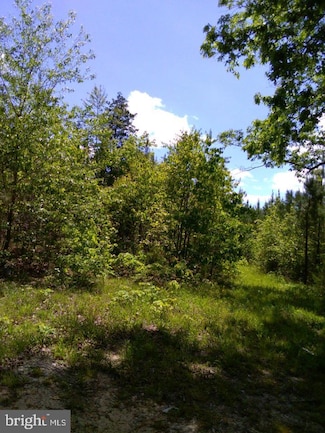 0 A Squirrel Hollow Rd, Brodnax, VA 23920