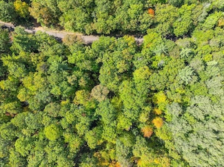 Lot 8 Lake Yawkey Dr, Hazelhurst, WI 54531