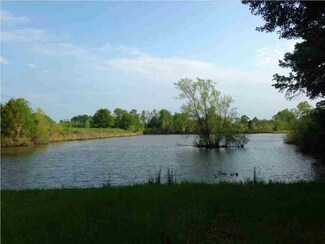 1 Cox Ferry Rd, Flora, MS 39071